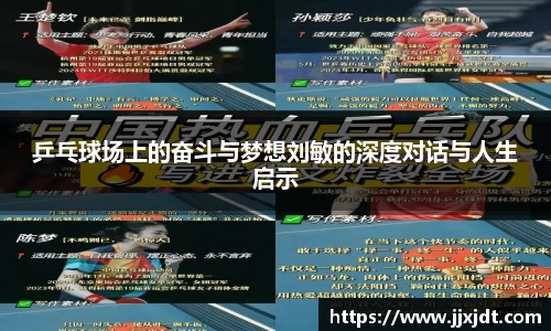乒乓球场上的奋斗与梦想刘敏的深度对话与人生启示
